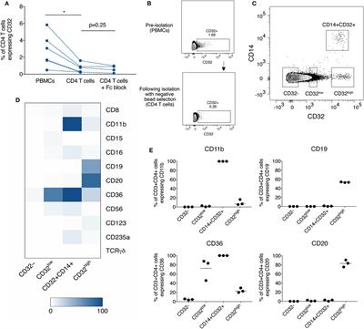 CD32-Expressing CD4 T Cells Are Phenotypically Diverse and Can Contain Proviral HIV DNA